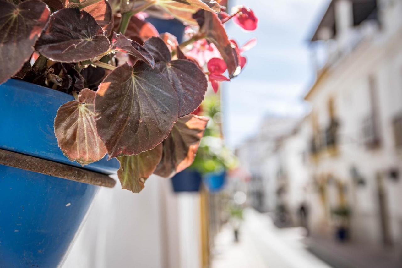 Seaclub Suites Estepona By Roomservices Eksteriør billede
